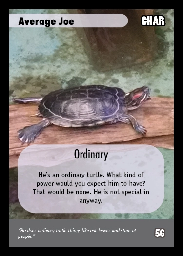 turtley character card